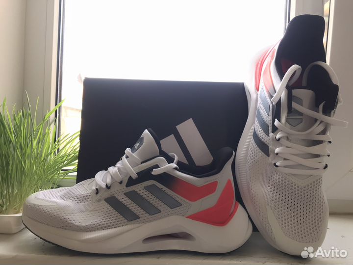 Кроссовки Adidas Alphatorsion 2.0