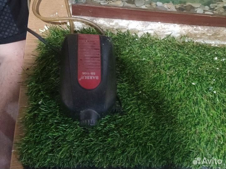 Террариум большой