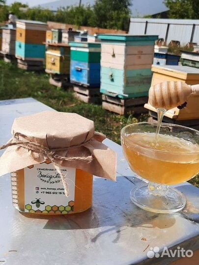 Мёд 2022/ мед 2022 Нижнекамск