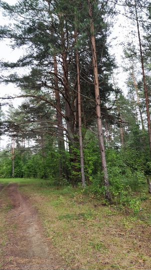 Участок 9,5 га (СНТ, ДНП)