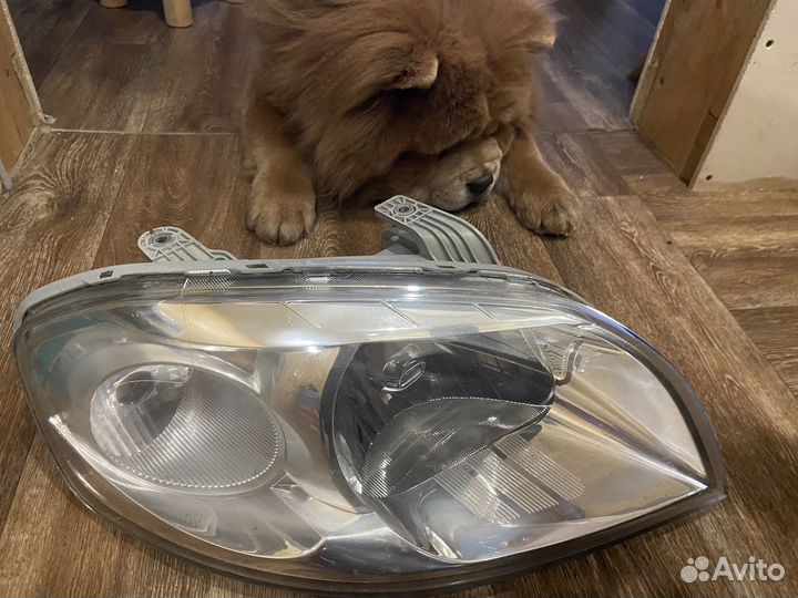 Передняя правая фара chevrolet aveo т250