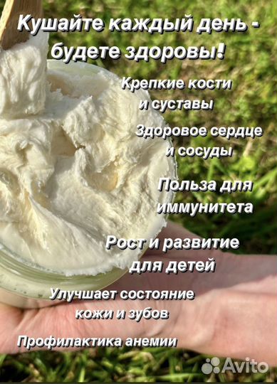 Аккураевый Мед