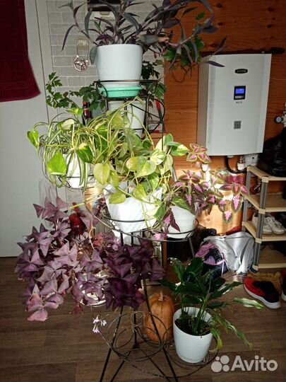 Подставка для цветов напольная металлическая