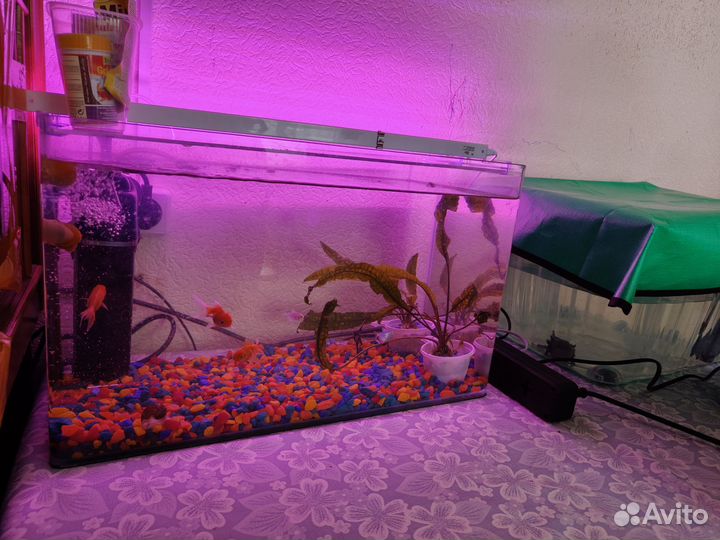 Аквариум