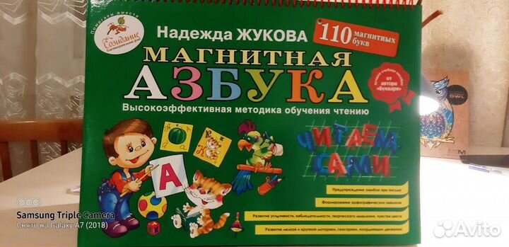 Образование