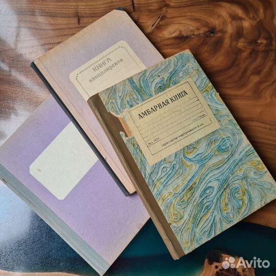 Амбарная книга СССР