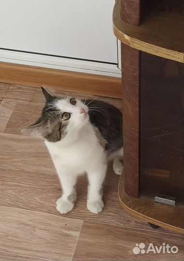 Проша ждет маму