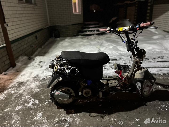 Реймер митиор