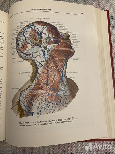 Атлас анатомии человека Синельников 2 том