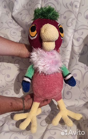 Попугай Кеша