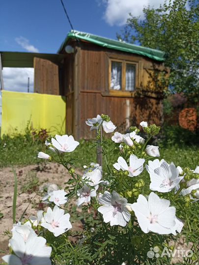 Вагончик бытовка для проживания бу