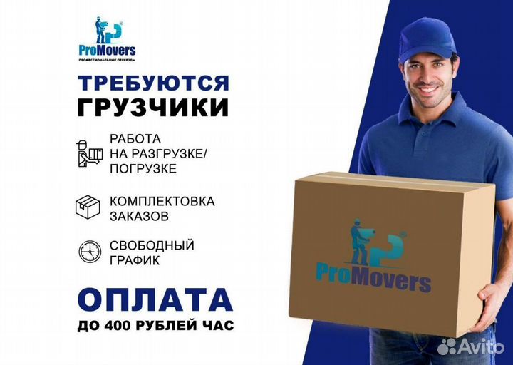 Грузчики оплата ежедневная