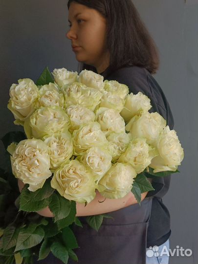 Цветы Розы