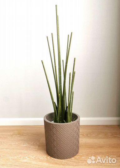 Искусственное дерево банановая пальма (стрелиция)