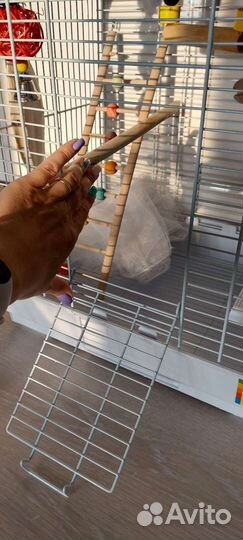 Клетка для попугая