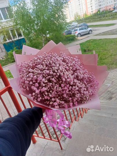 Цветы гипсофила