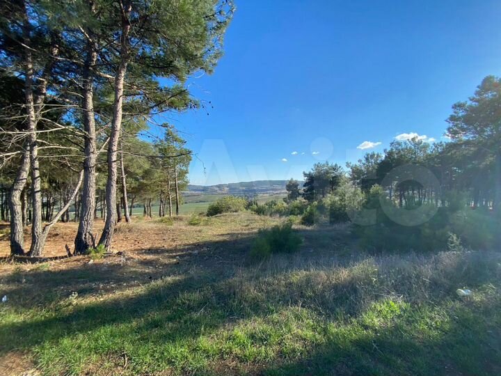 Участок 4 сот. (СНТ, ДНП)