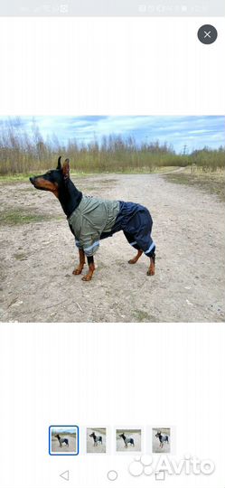 Комбинезон