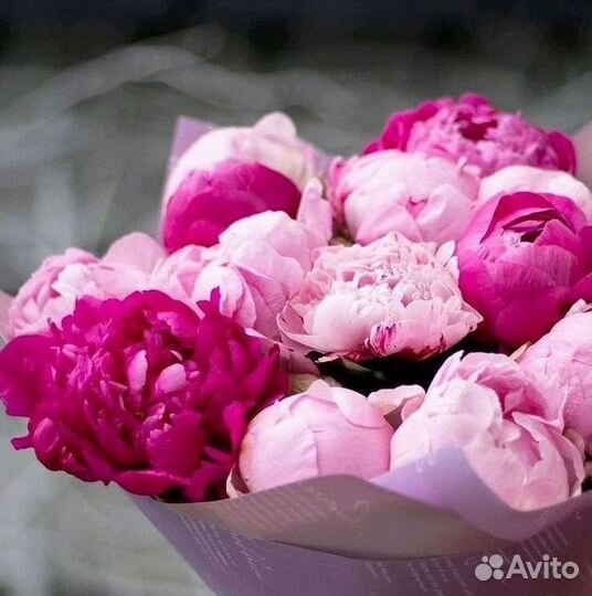 Пионы Букет пионов