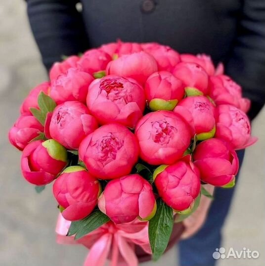 Пионы Букеты Цветы Доставка