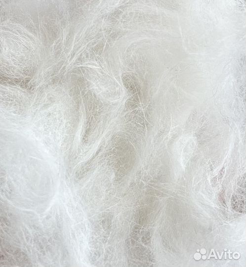 Кошачья шерсть