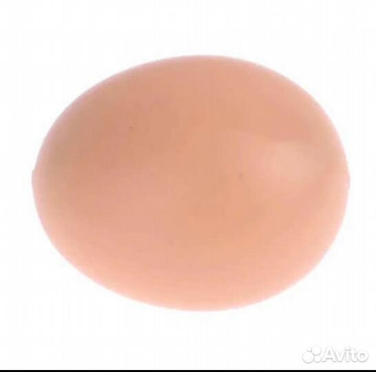 Яйцо подкидное