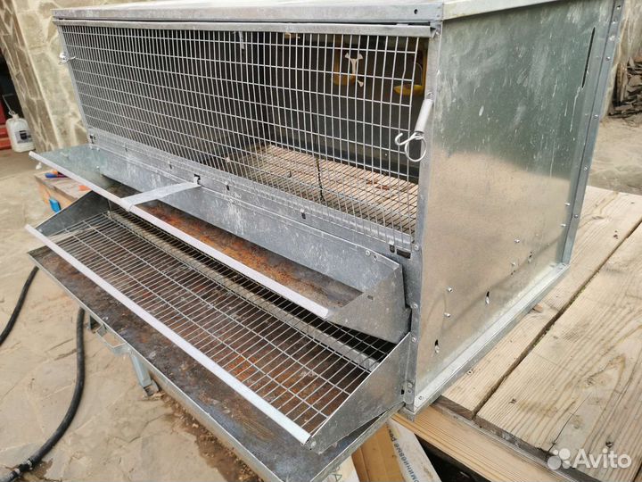 Клетки для кур несушек Crazy Ferma