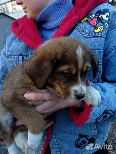 Первая малышка