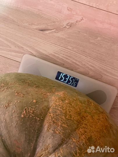 Тыква большая