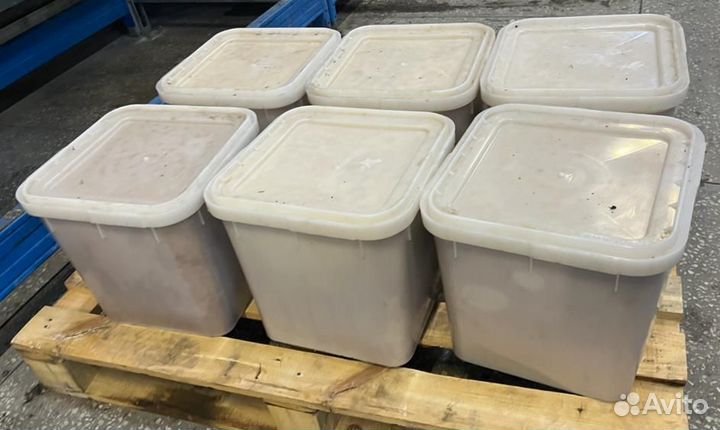 Майский опт свежий