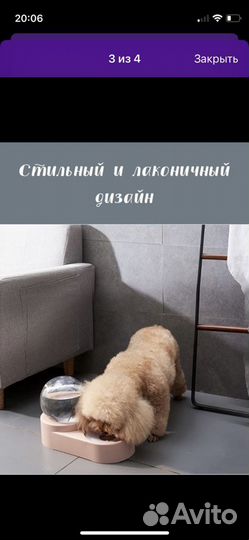 Автопоилка и домик-лесница для собак и кошек