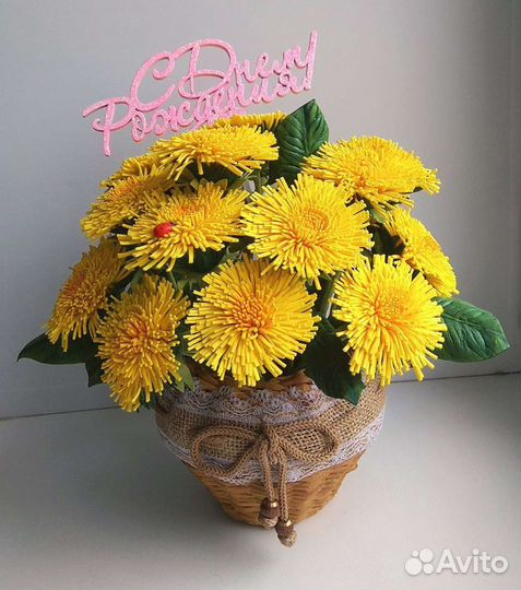 Одуванчики