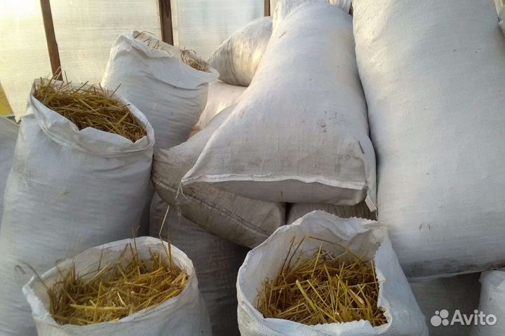 Солома подстилка для собак в мешках