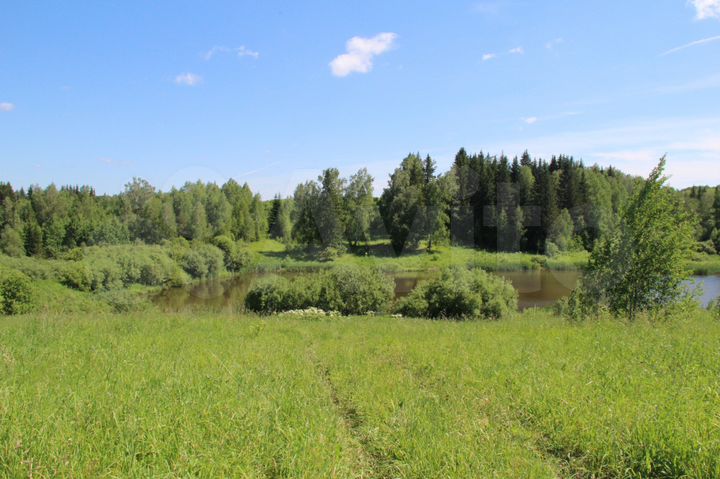 Участок 25 сот. (ИЖС)