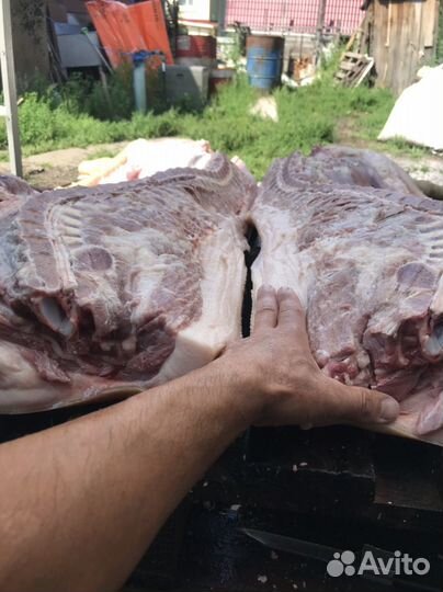 Мясо Свинины 100% домашнее