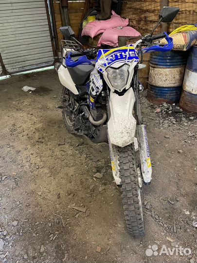 Рейсер Пантера 300