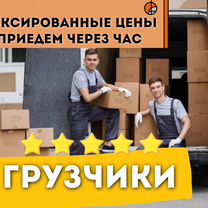 Грузчики / Выезд за 1 час, Москва