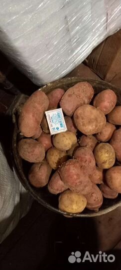 Продам картофель с доставкой