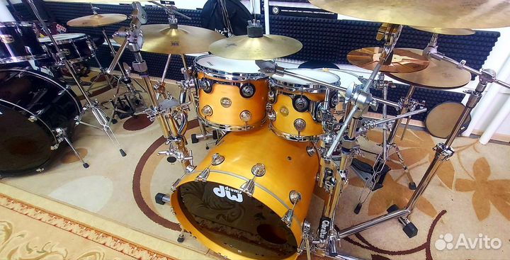 DW collectors maple