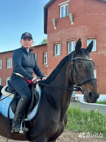 Продам лошадь