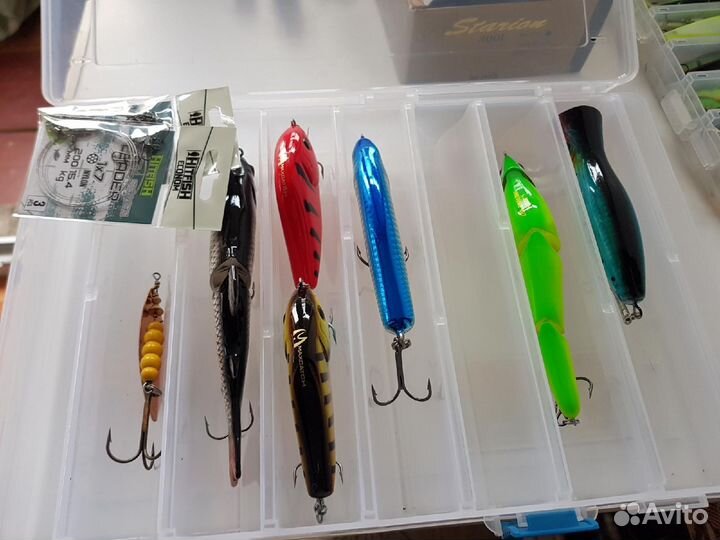 Охота и рыбалка