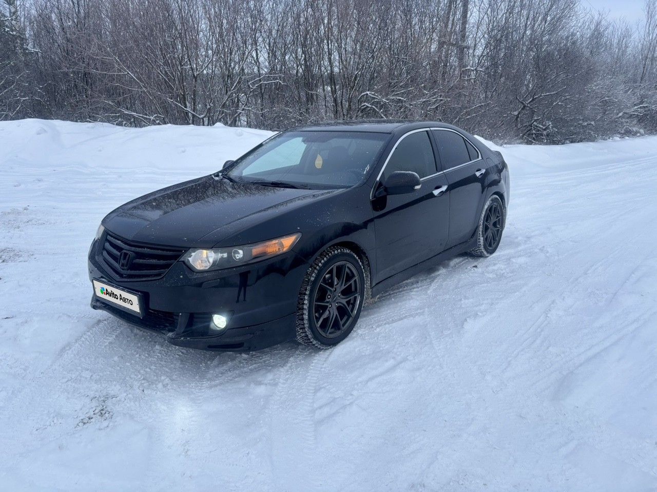 Honda Accord: фото владельца