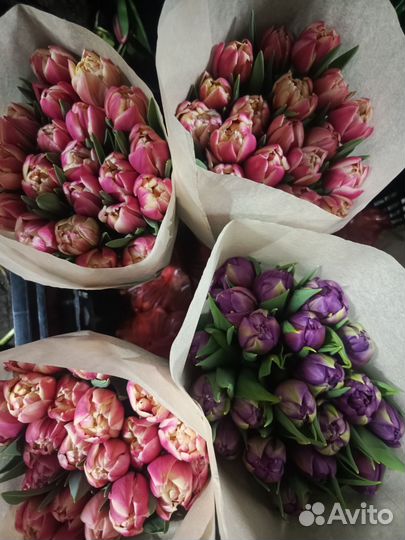 Тюльпаны к 8 марта