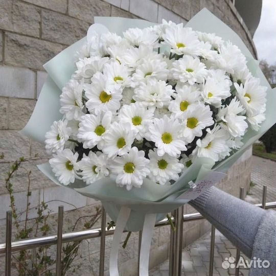 Хризантема срезка в букетах