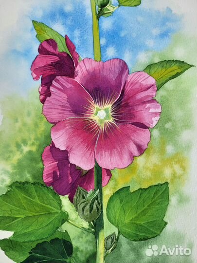 Картина акварель Яркая мальва 20х30 см