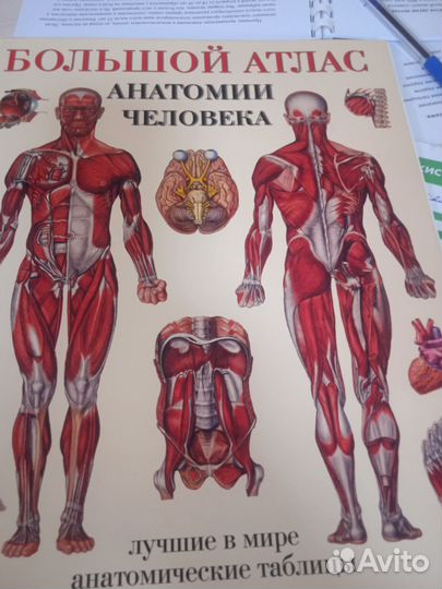 Массаж на дому