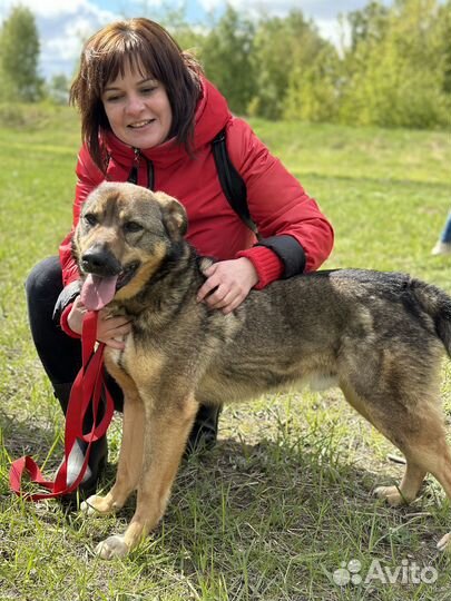 Жизнерадостному Рикки плохо в приюте