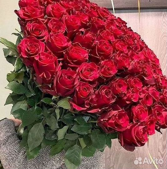 Розы гиганты 140 150 160 170 180 200