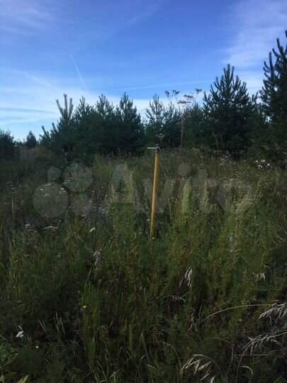 Участок 13,5 сот. (СНТ, ДНП)