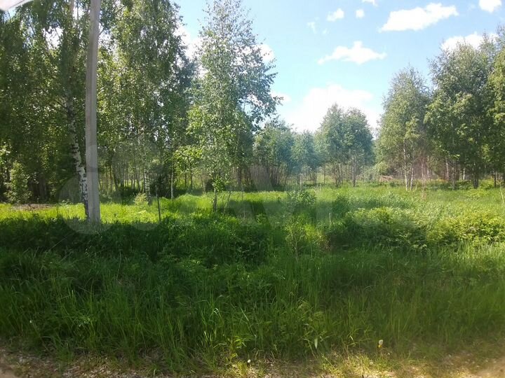 Участок 17 сот. (СНТ, ДНП)